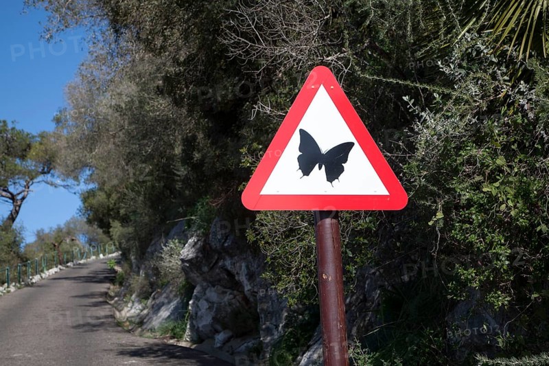 Road sign picture of a butterfly Rock nature reserve Gibraltar, British terroritory in southern Spain