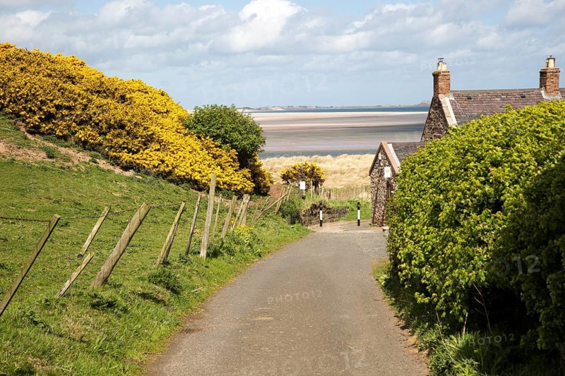 Coastal landscape at Budle Bay, Northumberland coast, England, UK