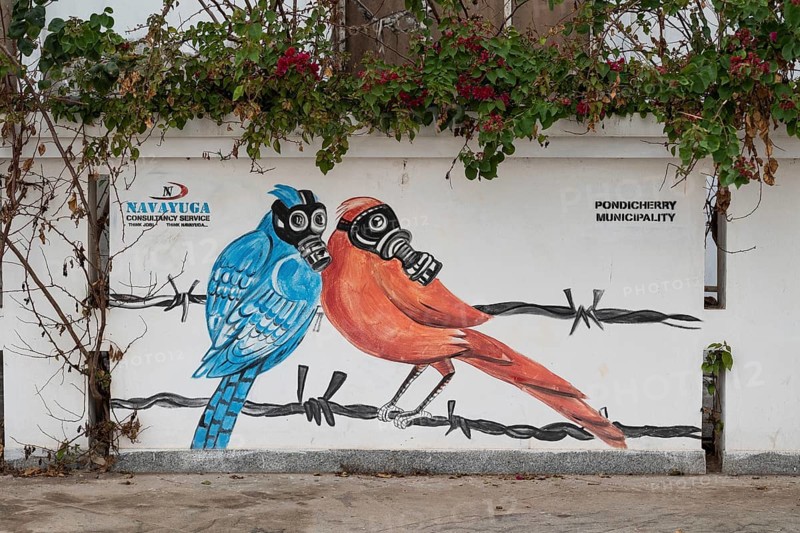 Birds with gas masks, graffiti-painted wall, Pondicherry or Puducherry, Tamil Nadu, India, Asia