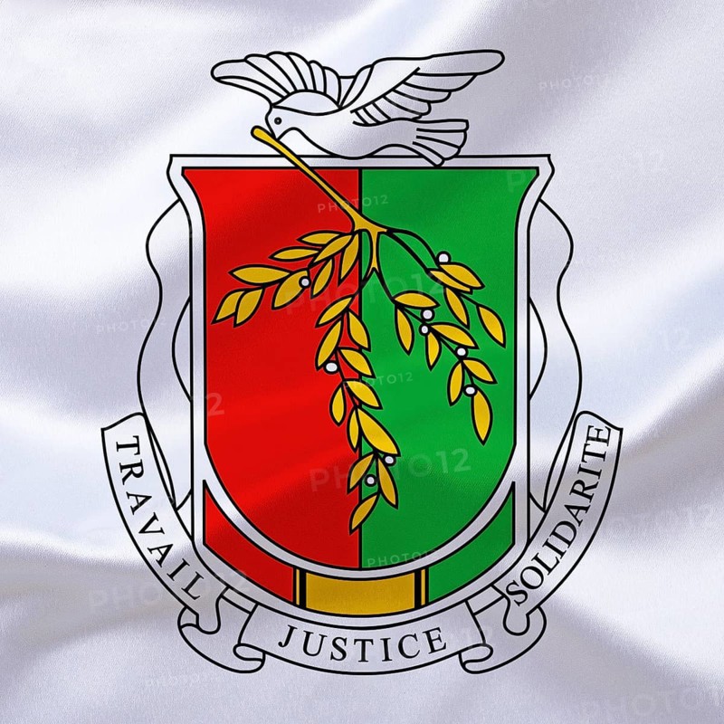 Africa, African Union, the coat of arms of Guinea, Studio