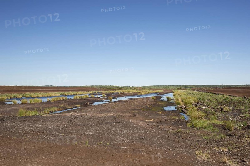 Peat extraction at Totes Moor, Tote Moor, raised bog near Neustadt am Ruebenberge, district of Hannover, Lower Saxony, Niedersachsen, Germany, Europe