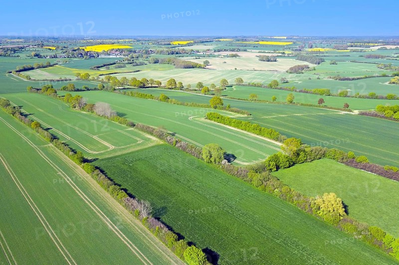 Aerial view over rural bocage landscape with fields and pastures, patchwork of plots surrounded by hedges and hedgerows, Schleswig-Holstein, Germany, Europe