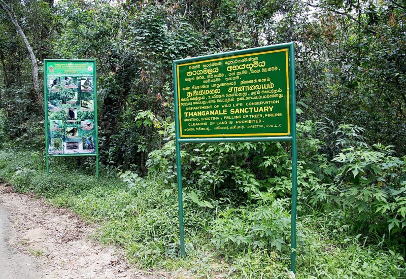 Thangamale wildlife sanctuary sign, Haputale, Badulla District, Uva Province, Sri Lanka, Asia