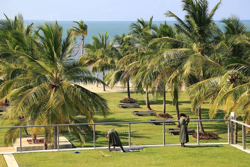 Amaya Beach Resort and Spa hotel, Pasikudah Bay, Eastern Province, Sri Lanka, Asia staff tending sedum grass roof garden, Asia