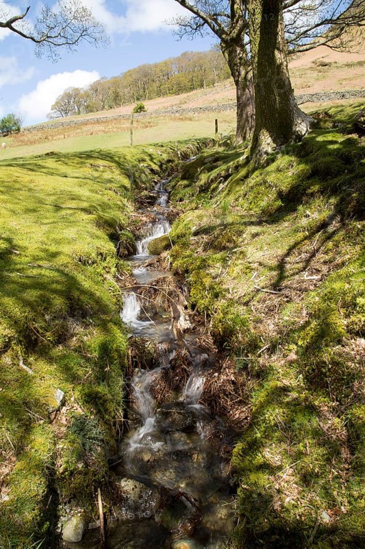 Small fell stream, Buttermere, Lake District national park, Cumbria, England, UK