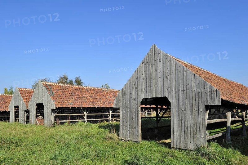 Drying yards with roof tiles at brickworks, Boom, Belgium, Europe