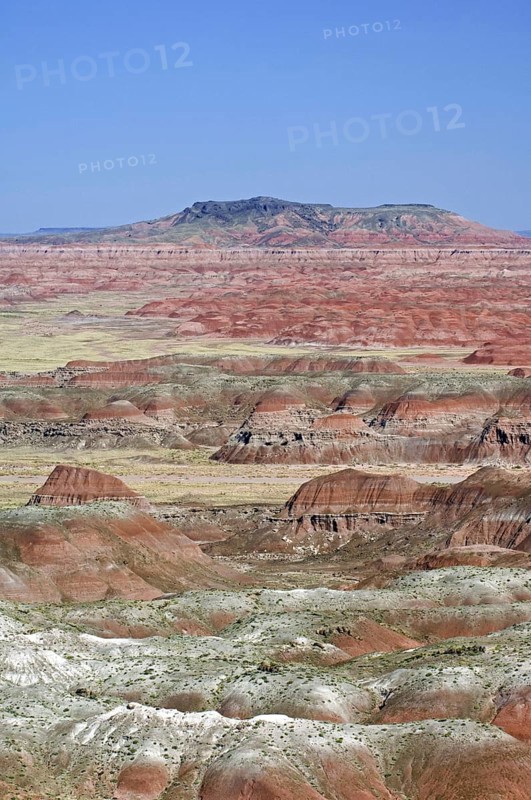 The Painted Desert, part of the Petrified Forest National Park stretches some 50, 000 acres of colorful mesas, buttes, and badlands, Arizona, USA, North America