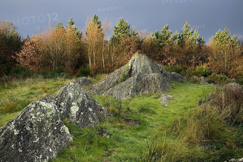 Druid hill, Broceliande at Paimpont, Brittany, France, Europe