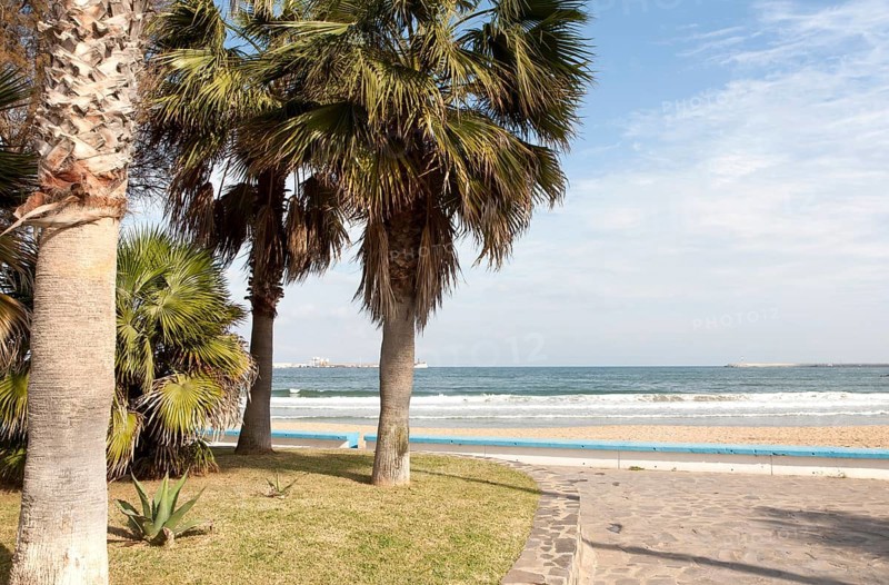 Palm trees sandy beach sea Melilla autonomous city state Spanish territory in north Africa, Spain, Europe