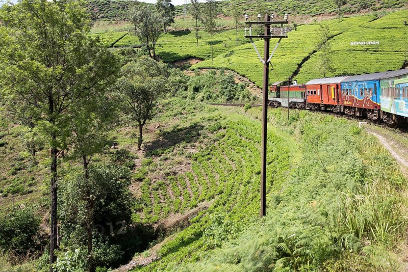 Train journey through countryside near Nuwara Eliya, Sri Lanka, Asia