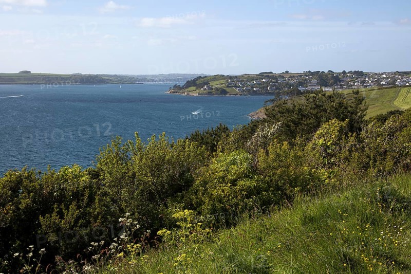 Sea view and wildflowers landscape at the end of the Roseland peninsula, Cornwall, England, UK