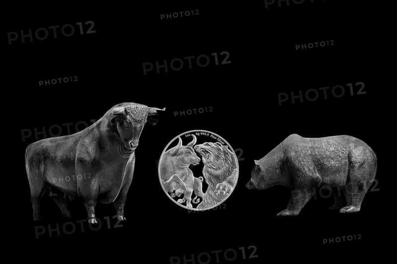 Bull and bear, symbolic figures of the stock market, Studio