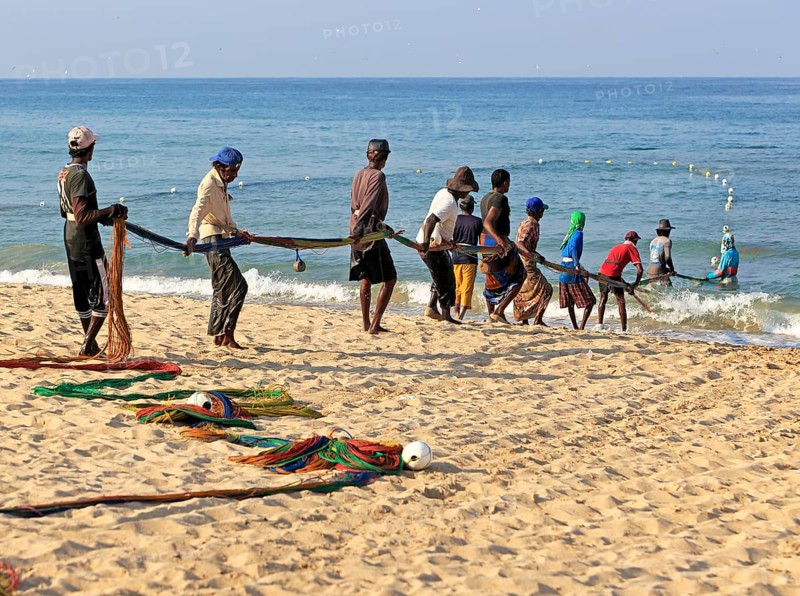Traditional fishing hauling nets Nilavelli beach, near Trincomalee, Eastern province, Sri Lanka, Asia