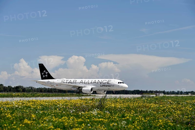 Star Alliance Airbus A320-200 taxiing after landing on taxiway from Runway North to Terminal 2 in front of storm front and thundercloud, Munich Airport, Upper Bavaria, Bavaria, Germany, Europe