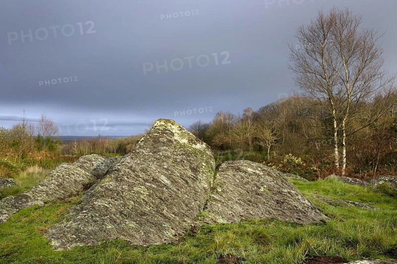 Druid hill, Broceliande at Paimpont, Brittany, France, Europe