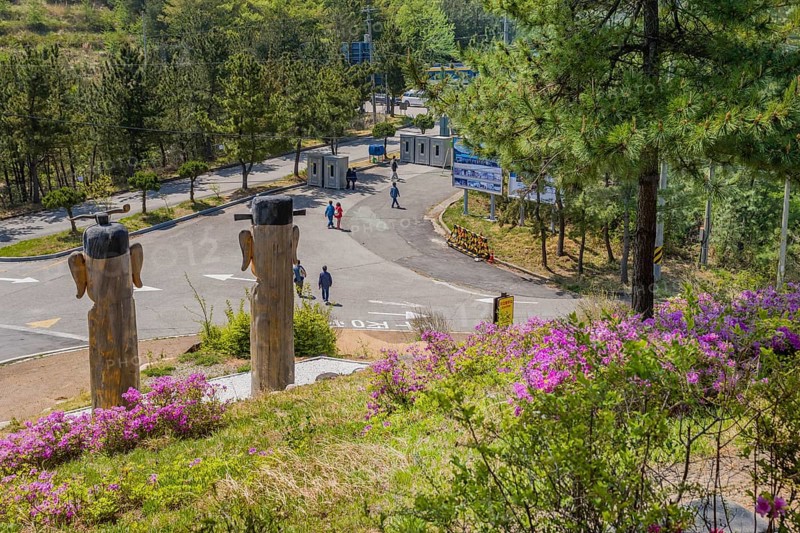 Back of large wooden totem poles in park at Goseong Unification Observation Tower in Goseong, South Korea, Asia