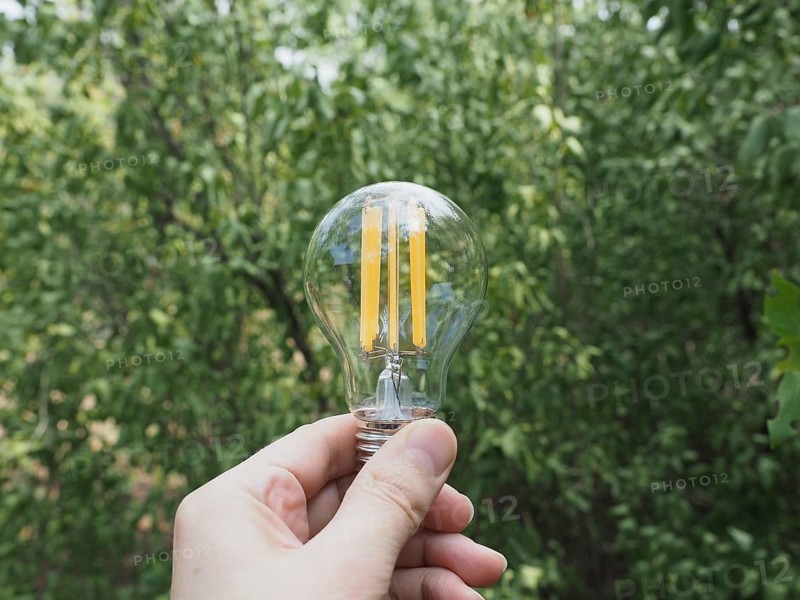 Modern green led bulb