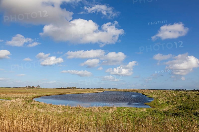 Landscape on the North Sea island of Texel, West Frisian island, province of North Holland, Netherlands