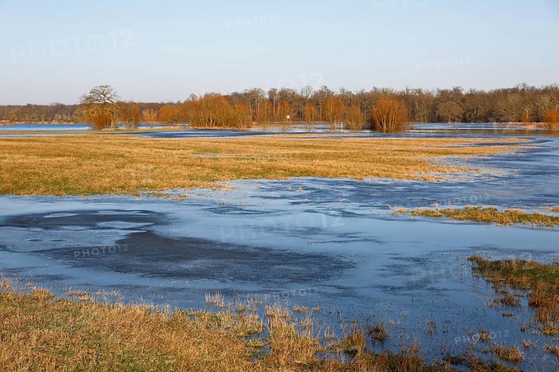 Winter floods 2024 on the Elbe and Mulde rivers with flooding of the meadows, ice on the meadows due to flooding in winter, high-pressure weather in winter, Middle Elbe Biosphere Reserve, Dessau-Rosslau, Saxony-Anhalt, Germany, Europe