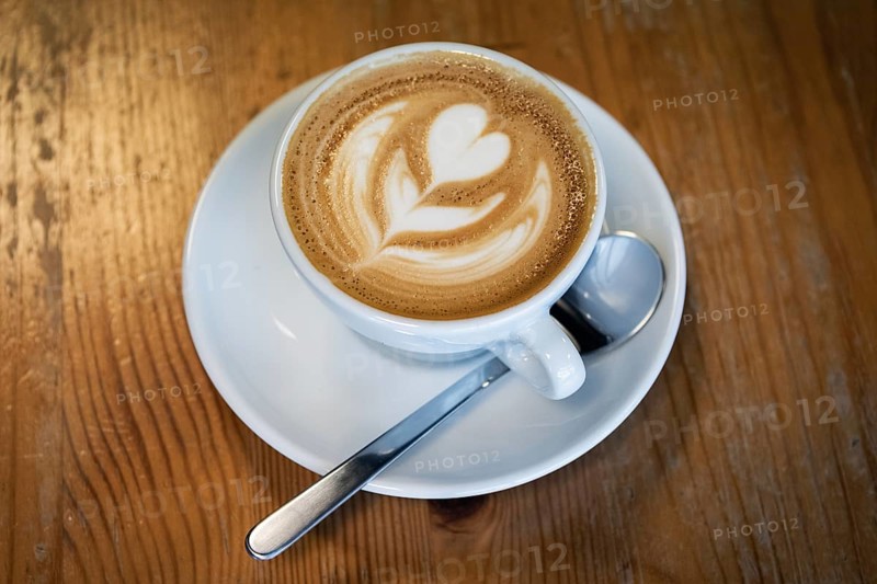 Cappuccino, flower made of milk foam, Reykjavik, Iceland, Europe