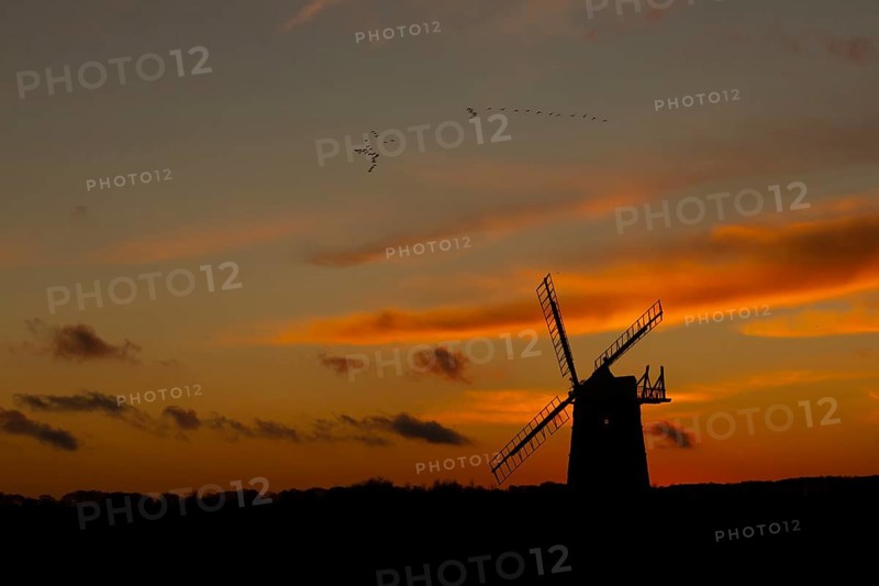 Windmill silhouetted at sunset with a red sky and clouds and a skein or flock of Pink-footed geese (Anser brachyrhynchus) flying above, Burnham Ovary Staithe, Norfolk, England, United Kingdom, Europe