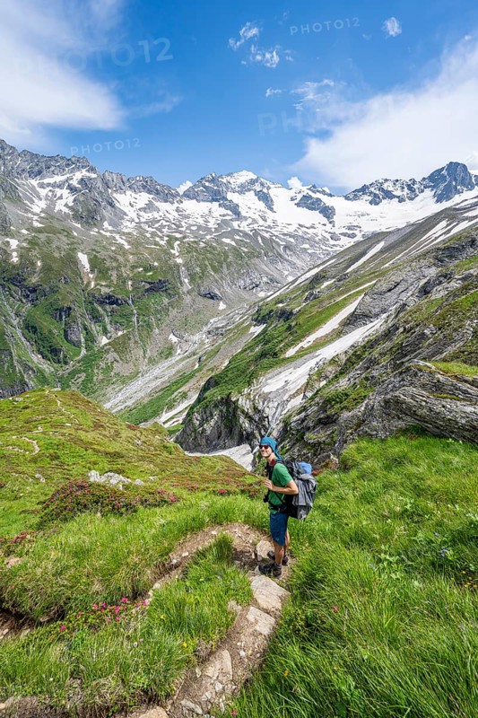 Mountaineer on hiking trail in picturesque mountain landscape, in the background mountain peak Grosser Loeffler and Oestliche Floitenspitze with glacier Floitenkees, valley Floitengrund, Berliner Hoehenweg, Zillertal Alps, Tyrol, Austria, Europe