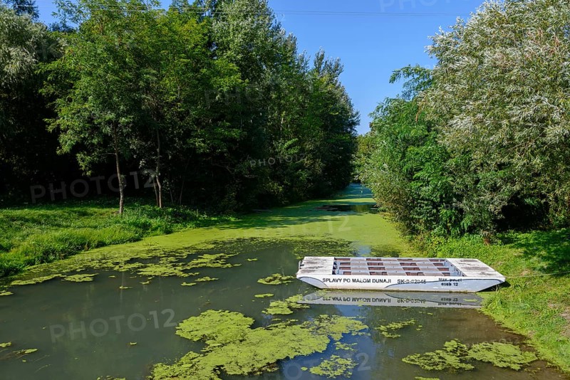 Ship in the green river of the Little Danube under a clear blue sky, Tomasikovo, Tomasikovo, Tallos, Tallos, Galanta, Trnavsky kraj, Trnavsky, Slovakia, Europe