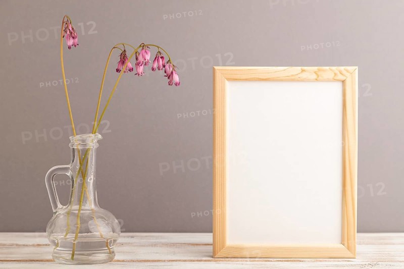 Wooden frame with pink dicentra, broken heart in glass on gray pastel background. side view, copy space, mockup, template, spring, summer minimalism concept