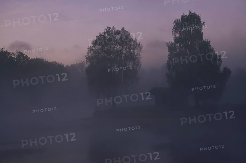 Foggy summer morning at the lake, Neubeurersee, Neubeuern, Bavaria, Germany, Europe