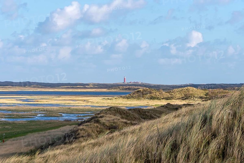 Duinen van Texel National Park, dunes of Texel, North Sea island of Texel, West Frisian island, province of North Holland, Netherlands