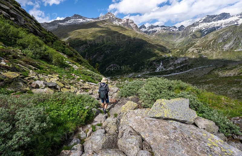 Mountaineers on a hiking trail in front of a picturesque mountain landscape, rocky mountain peaks with snow, valley Zemmgrund with Zemmbach, mountain panorama with summit Zsigmondyspitze and Ochsner, Berliner Hoehenweg, Zillertal Alps, Tyrol, Austria, Europe