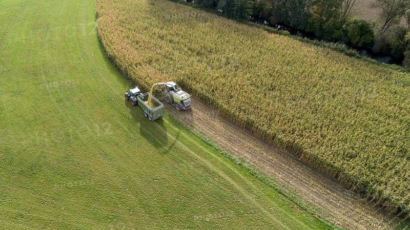 Tractor and maize chopper harvesting maize in Bavaria, Germany, Europe