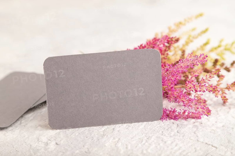 Gray paper business card mockup with purple astilbe flowers on gray concrete background. Blank, side view, copy space, still life. spring concept