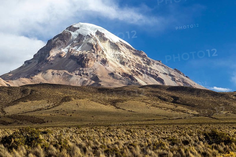 Sajama