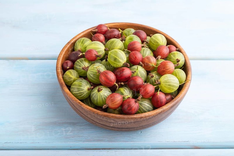 Fresh red and green gooseberry in wooden bowl on blue wooden background. side view, close up