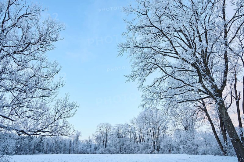Snowy winter landscape near Polling an der Ammer. Polling, Paffenwinkel, Upper Bavaria, Germany, Europe