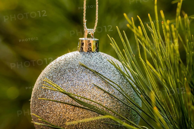 Closeup of silver textured Christmas ornament hanging on pine tree in South Korea