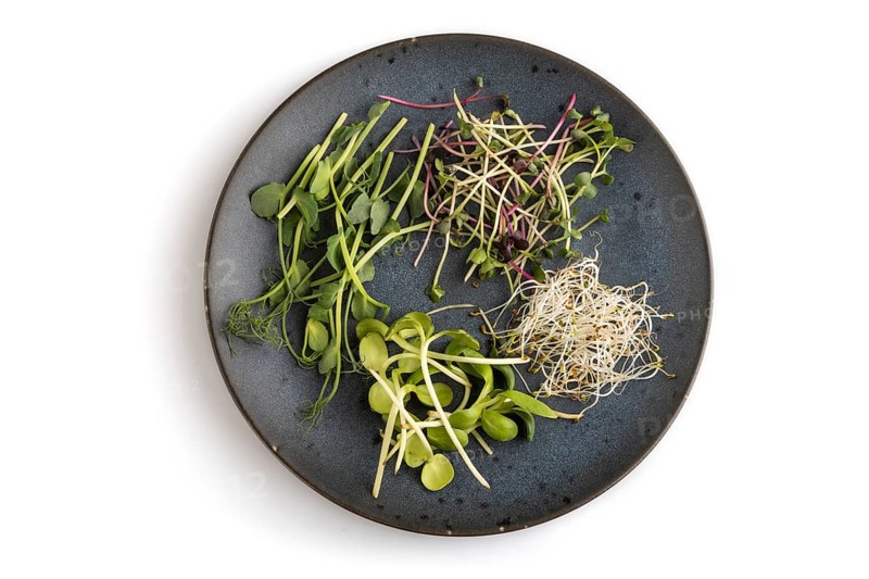 Blue ceramic plate with microgreen sprouts of green pea, sunflower, alfalfa, radish isolated on white background. Top view, flat lay, close up