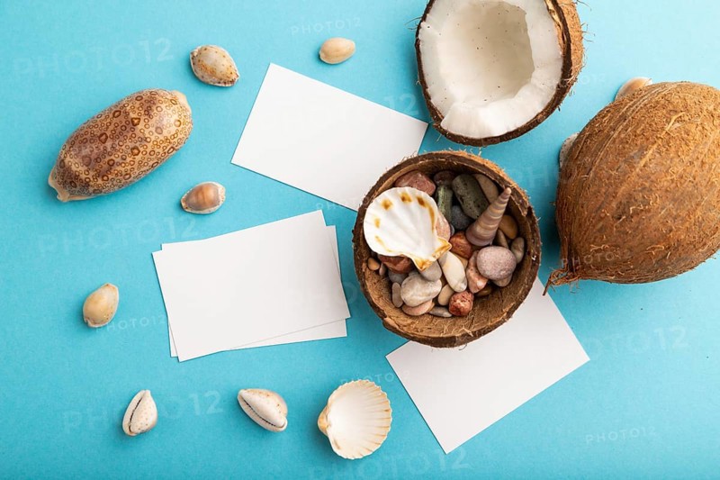 White paper business card with coconut and seashells on blue pastel background. Top view, flat lay, copy space. Tropical, healthy food, vacation, holidays concept