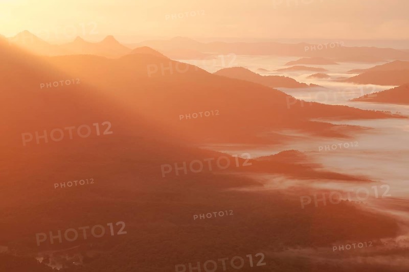 A beautiful sunrise in the Byron Bay Hinterland (east coast of Australia) in NSW. Ground fog in the valley of Wollumbin and Mebbin National Park. View from the Blackbutt Lookout of the Border Ranges National Park. East view towards Byron Bay