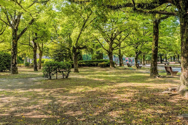 Landscape of a peaceful shaded park in Hiroshima, Japan, Asia