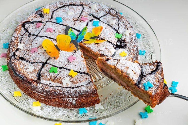 Succulent cake with butterfly decoration and colourful sprinkles on a glass plate, white base