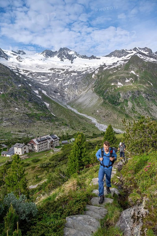 Two mountaineers on a hiking trail in a picturesque mountain landscape with alpine roses, in the background mountain peak Grosser Moeseler with glacier Waxeggkees and mountain hut Berliner Huette, Berliner Hoehenweg, Zillertal Alps, Tyrol, Austria, Europe