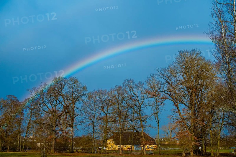 Rainbow over the castle park, Donaueschingen, Baden-Wuerttemberg, Germany, Europe
