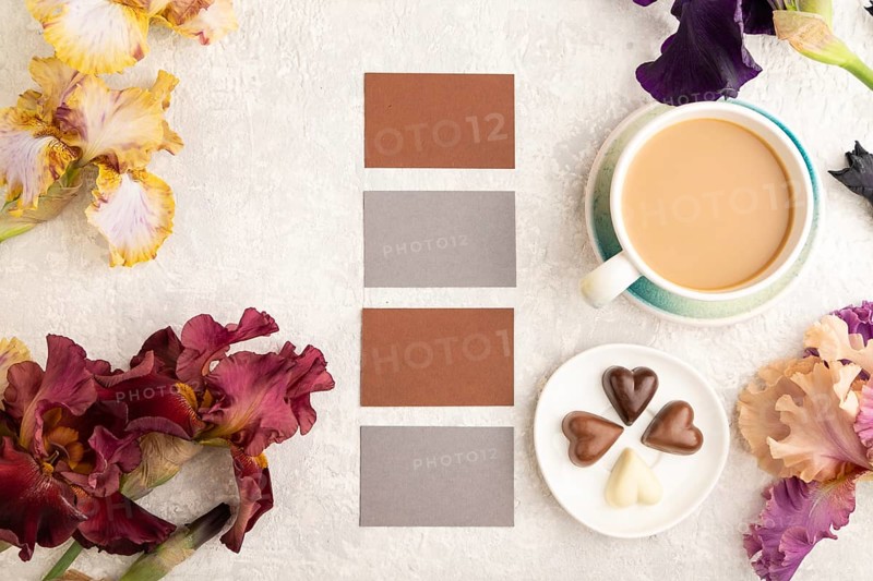 Set of gray and brown business cards with cup of cioffee, chocolate candies, purple and burgundy iris flowers on gray concrete background. top view, flat lay, copy space, still life. Breakfast, morning, spring concept