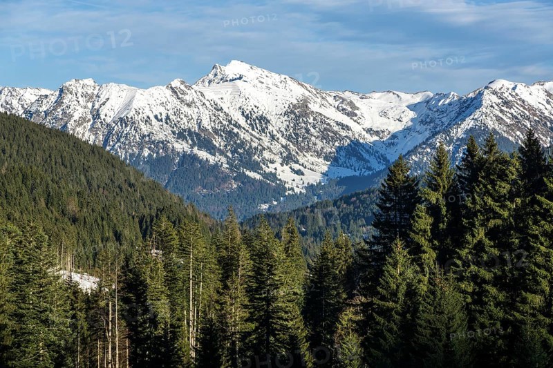 View of Rubihorn, Geissalphorn, Nebelhorn and Schattenhorn, Oberallgaeu, Allgaeu, Bavaria, Germany, Europe