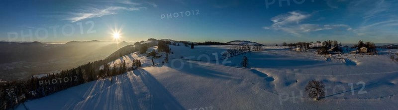 Sun shining through bare trees, snowy winter landscape on the Brunnersberg, Solothurn, Switzerland, Europe