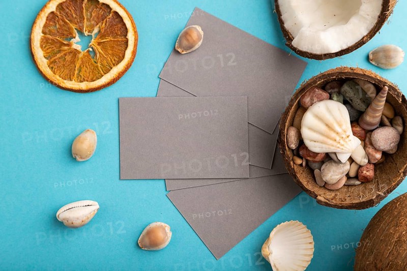 Gray paper business card with coconut and seashells on blue pastel background. Top view, flat lay, copy space. Tropical, healthy food, vacation, holidays concept