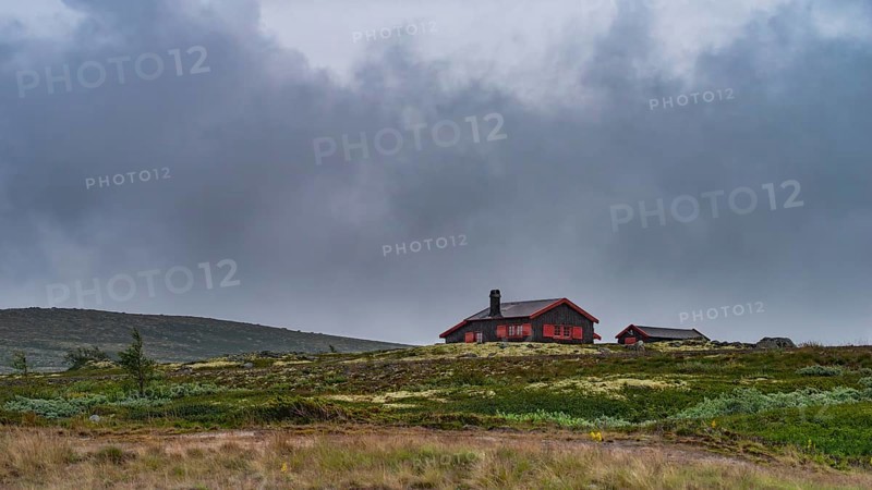 Shot of a hut in the rain, landscape format, log cabin, holiday home, Fjell, treeless plateau, Fjellhuette, plateau, wooden house, landscape, landscape photo, summer, clouds, secluded, remote, lonely, Uvdal, Viken, Norway, Europe