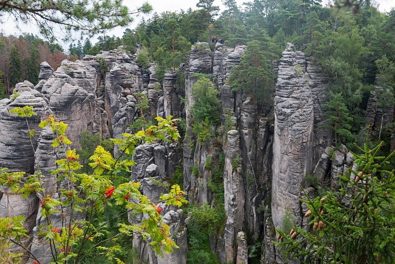 Sandstone rocks rise up in the middle of a dense forest against a cloudy sky, Prachovske skaly, Prachov Rocks, Bohemian Paradise, Cesky raj, Czech Republic, Europe